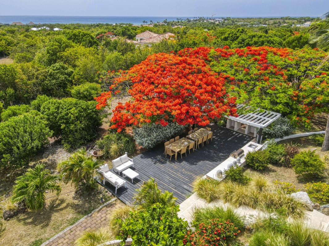 61.Location villa Encore aux Terrres Basses Saint Martin_Jardin